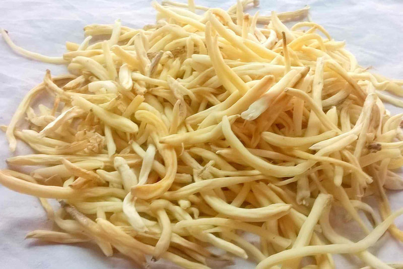 Safed Musli Extract